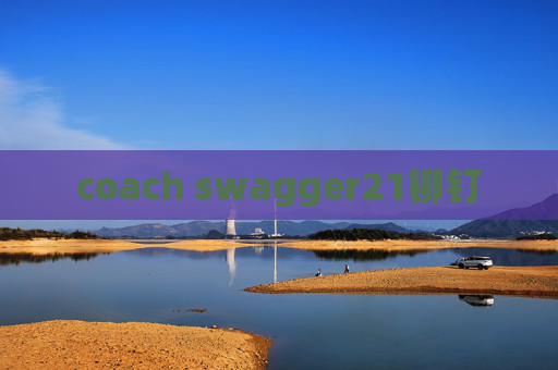 coach swagger21铆钉